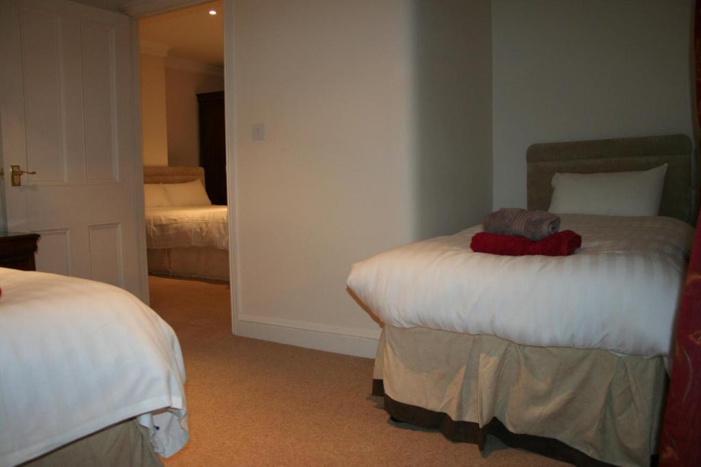 The Trewythen Hotel Llanidloes Eksteriør billede